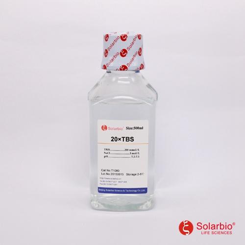 20×TBS