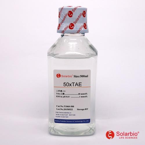 50×TAE 缓冲液