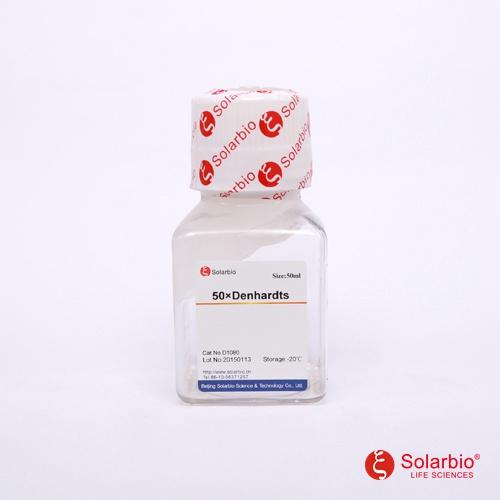 50×Denhardt's溶液