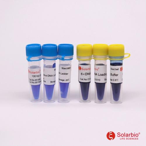 6×DNA上样缓冲液