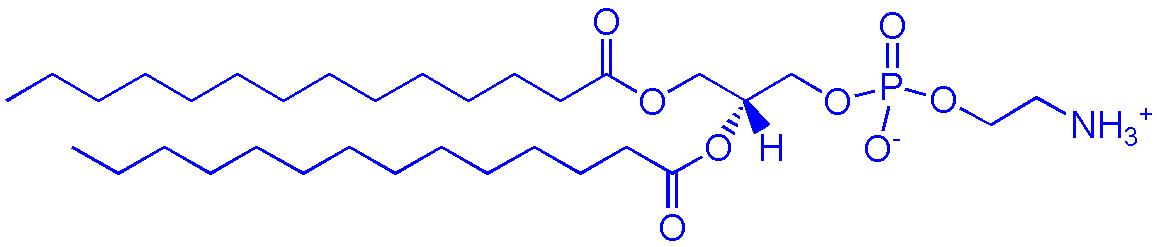 DMPE（1,2-二肉豆蔻酰-sn-甘油-3-磷酰乙醇胺）