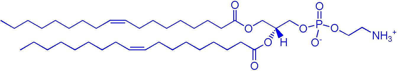 DOPE（1,2-二油酰基-sn-丙三基-3-磷脂酰乙醇胺）