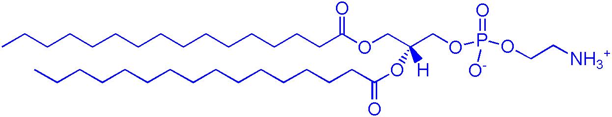 DPPE（1,2-二棕榈酰基-sn-丙三基-3-和磷酸乙氨醇）