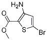 3-氨基-5-溴噻吩-2-羧酸甲酯