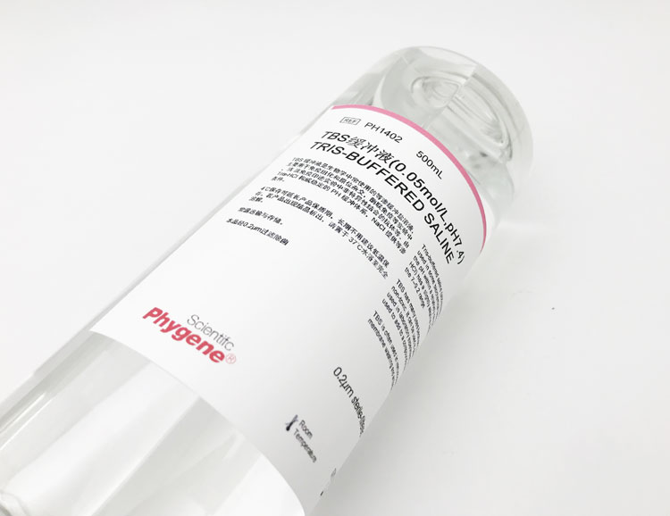 TBS缓冲液TBSbuffer