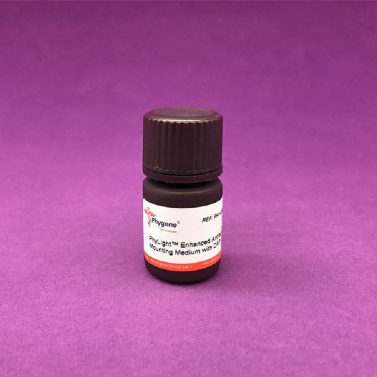 增强型抗荧光衰减封片剂