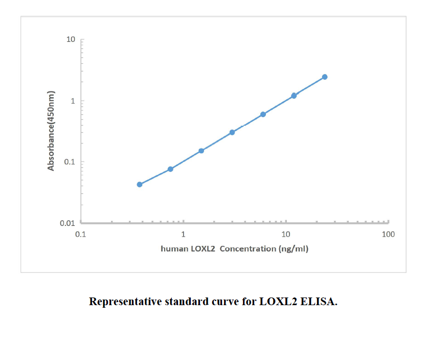 Human LOXL2 ELISA KIT