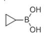 环丙基硼酸