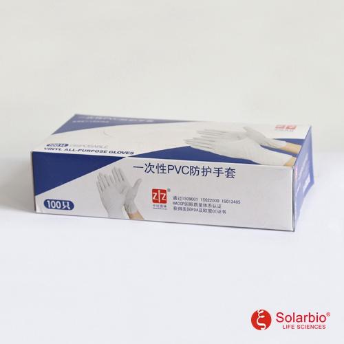 无粉一次性PVC手套