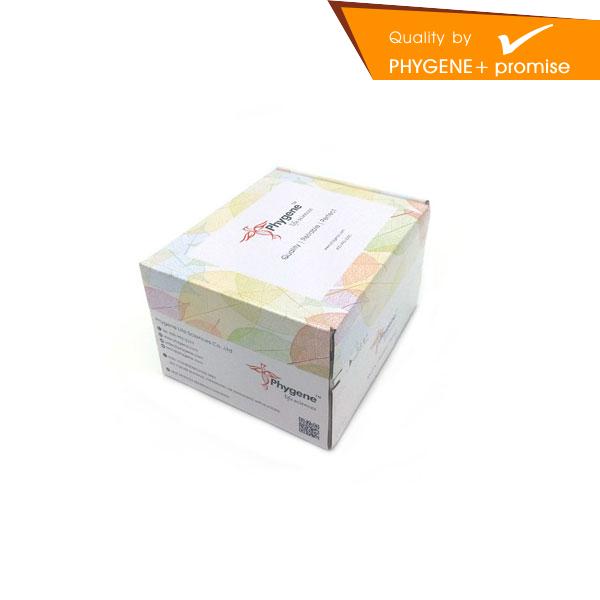 超敏化学发光试剂盒