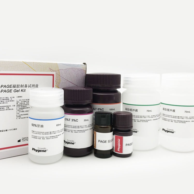 凝胶制备试剂盒