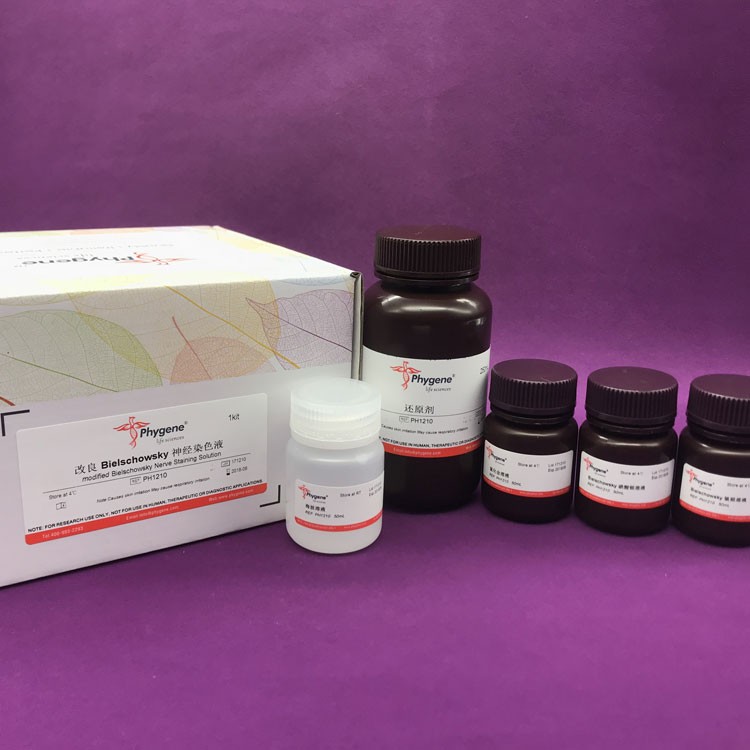 改良Bielschowsky神经染色液
