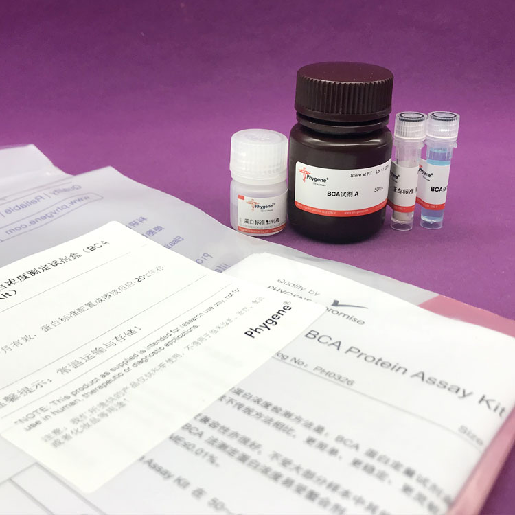 改良Bielschowsky神经染色液