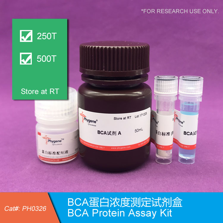 BCA蛋白浓度测定试剂盒