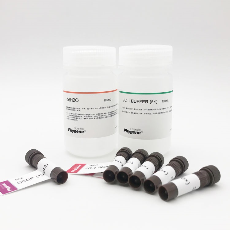 线粒体膜电位检测试剂盒(JC-1)