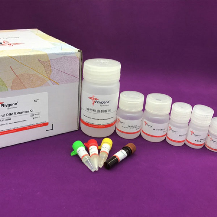 真菌基因组DNA提取试剂盒