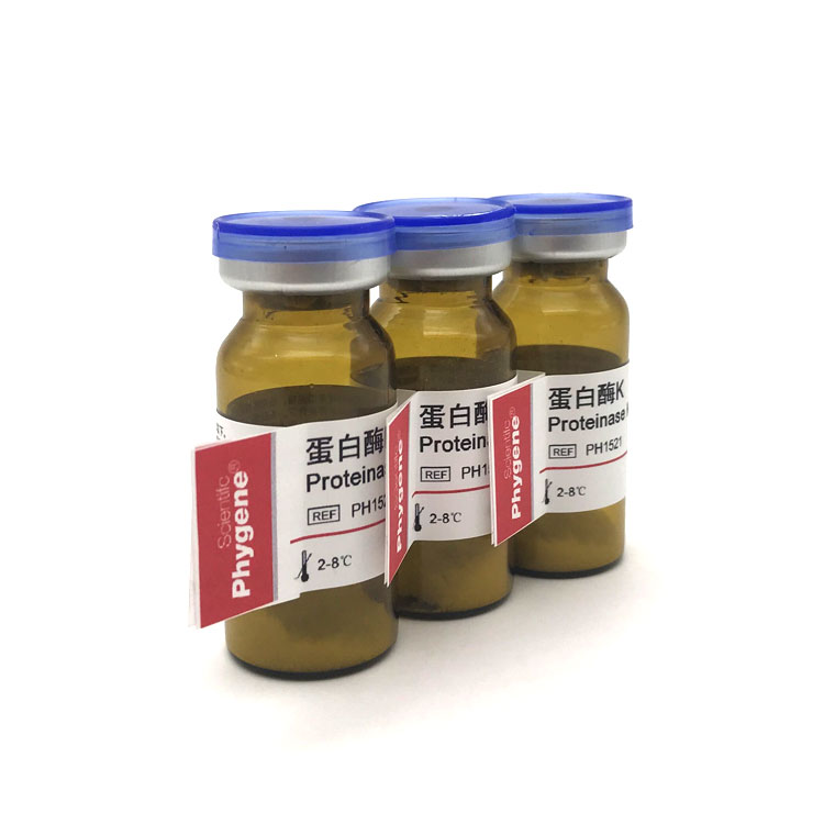 蛋白酶K