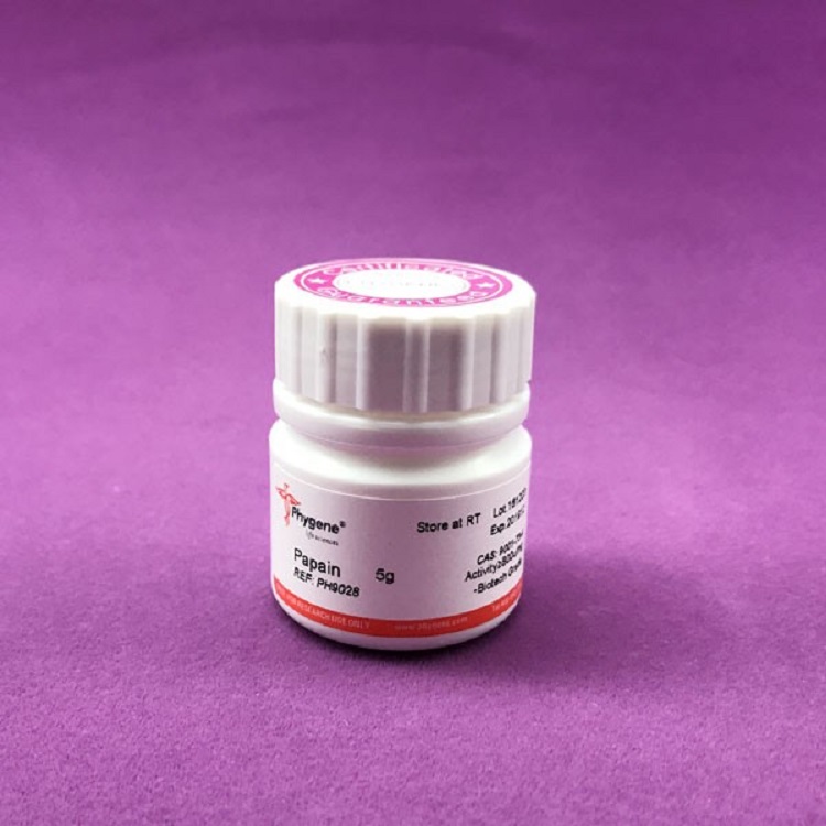木瓜蛋白酶