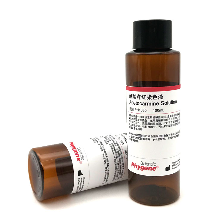 醋酸洋红染色液