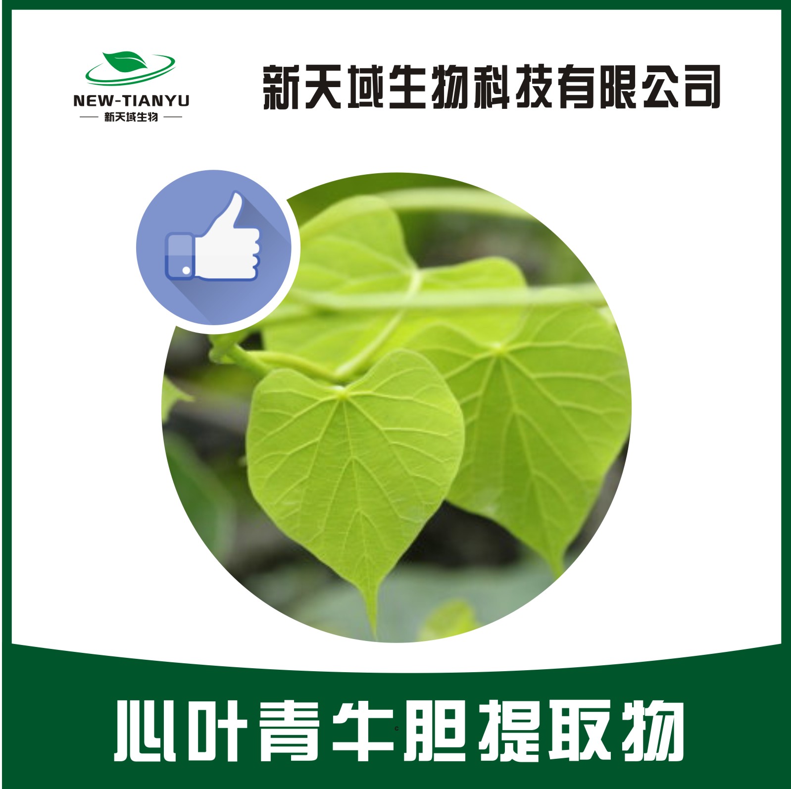 心叶青牛胆提取物