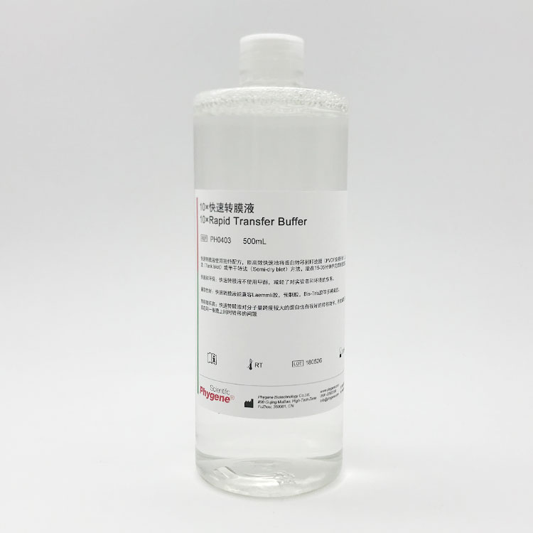 甘油明胶封片剂