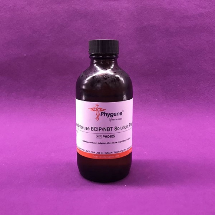 BCIP/NBT即用型显色试剂盒