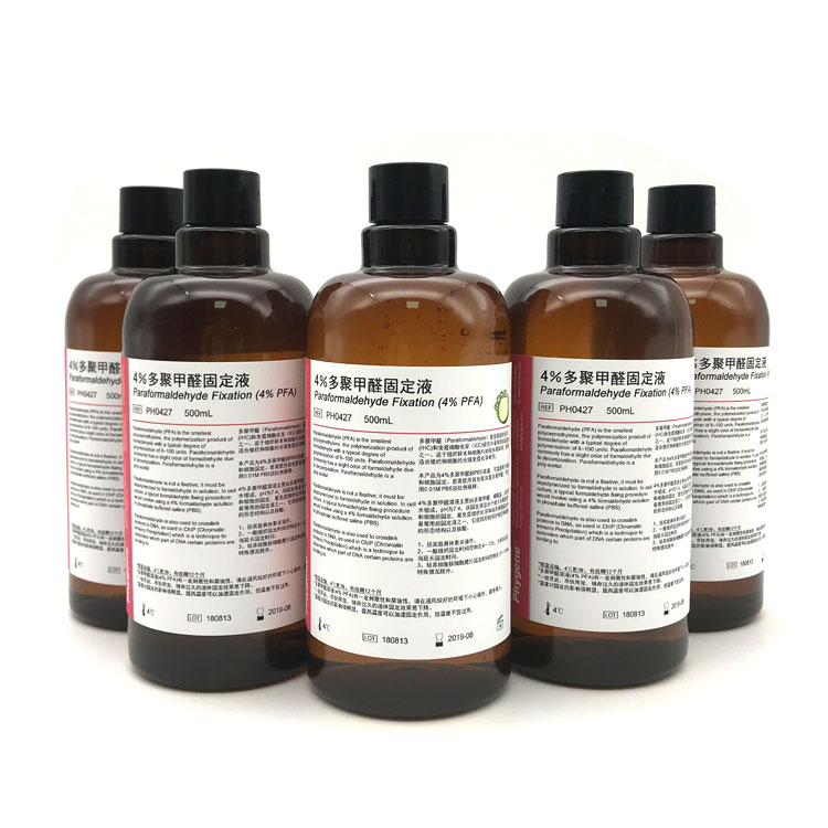 4%多聚甲醛固定液
