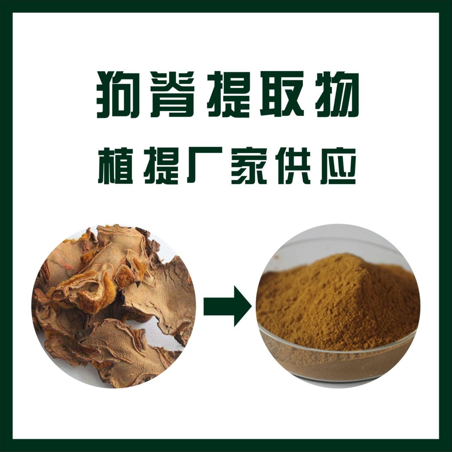 收藏商品  举报 狗脊提取物