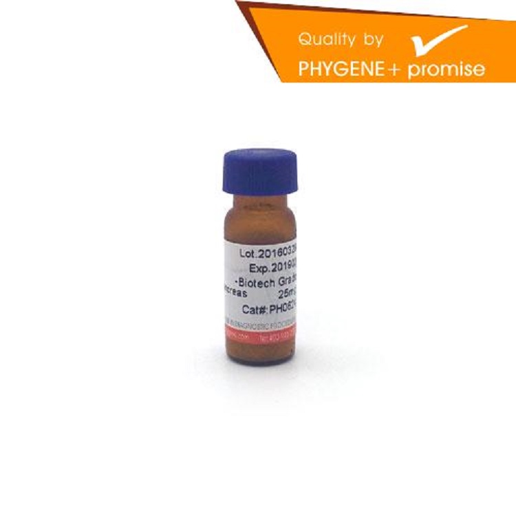 PCR反应试剂盒(2000bp)