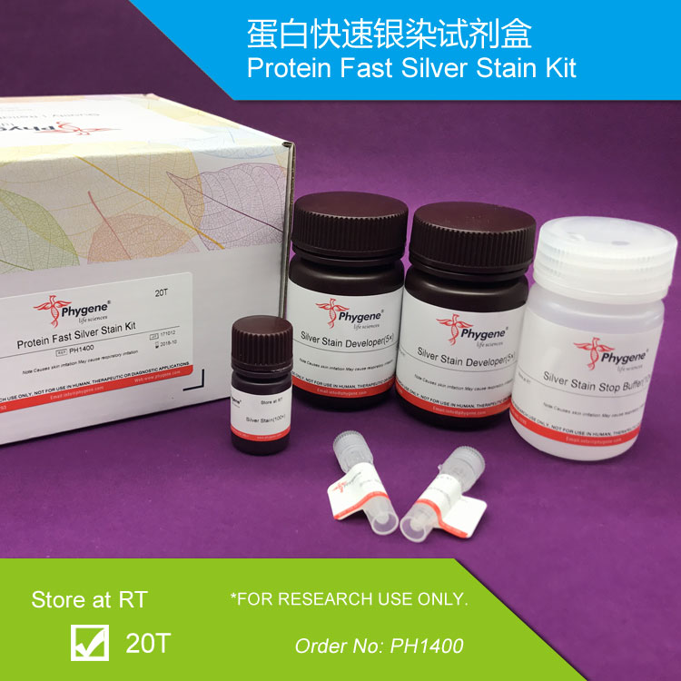 蛋白快速银染试剂盒