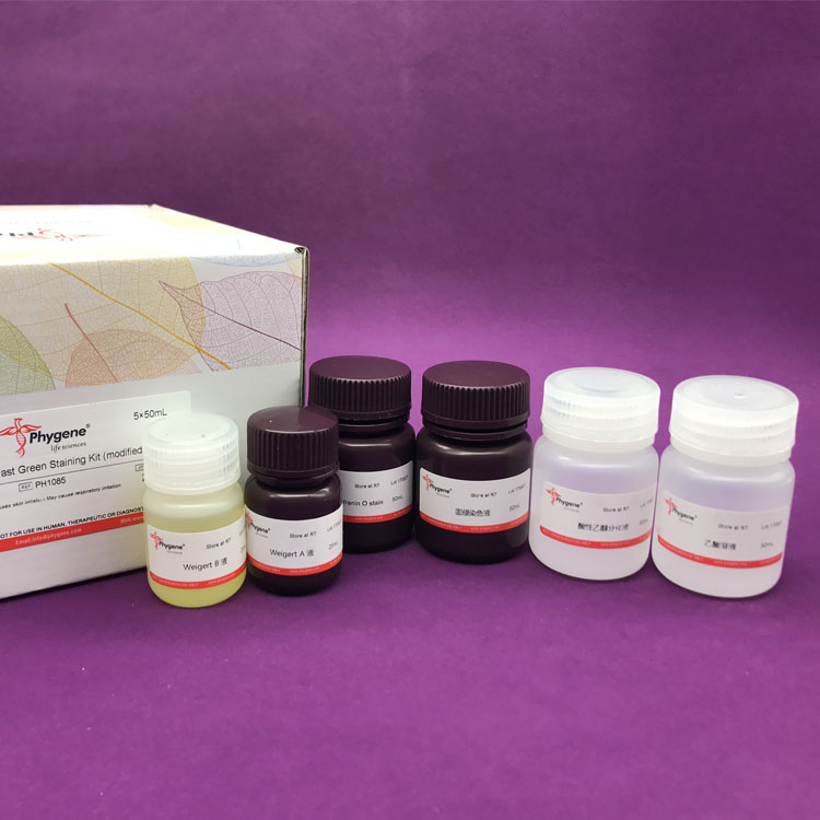 改良番红O-固绿软骨染色液