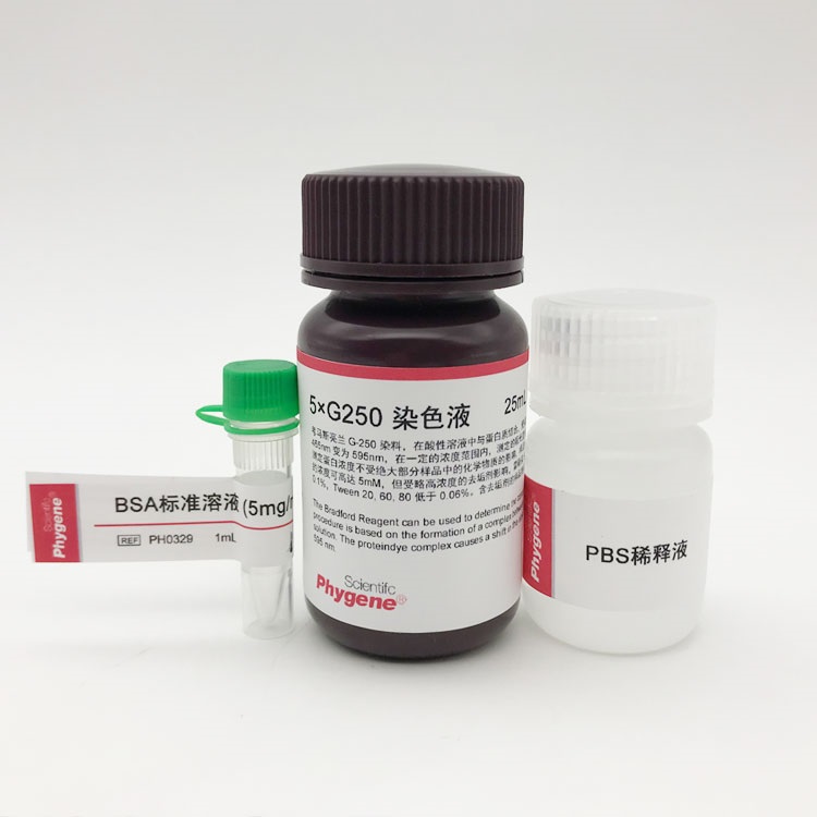 蛋白浓度测定试剂盒
