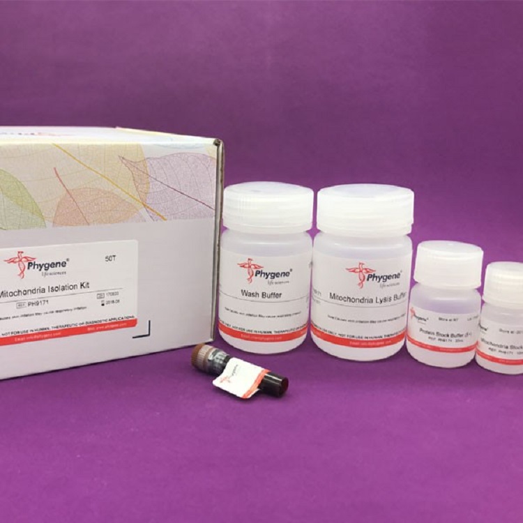 细胞线粒体分离试剂盒