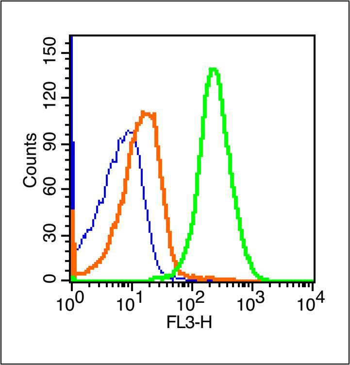 CD4 antibody