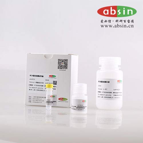 BCA蛋白定量试剂盒