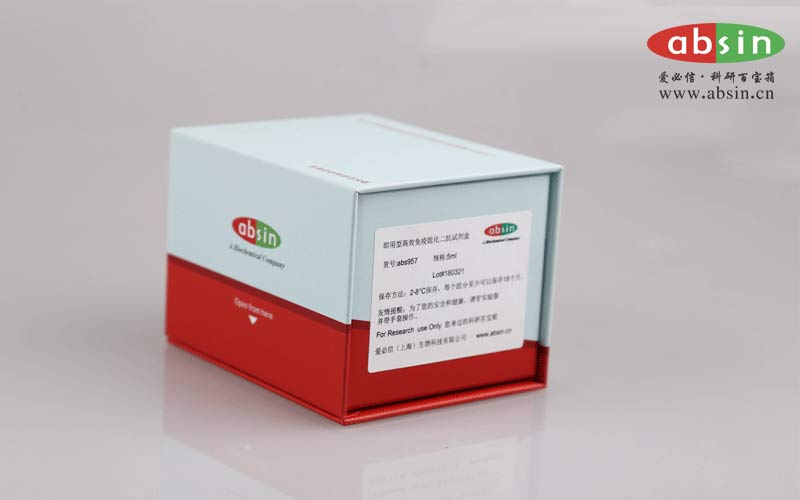 Human TNF-α ELISA Kit