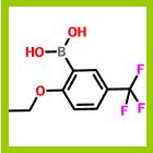 2-乙氧基-5-三氟甲基苯硼酸