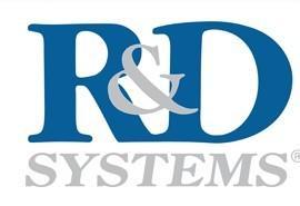 Human SPARC Quantikine ELISA Kit (1 KT)