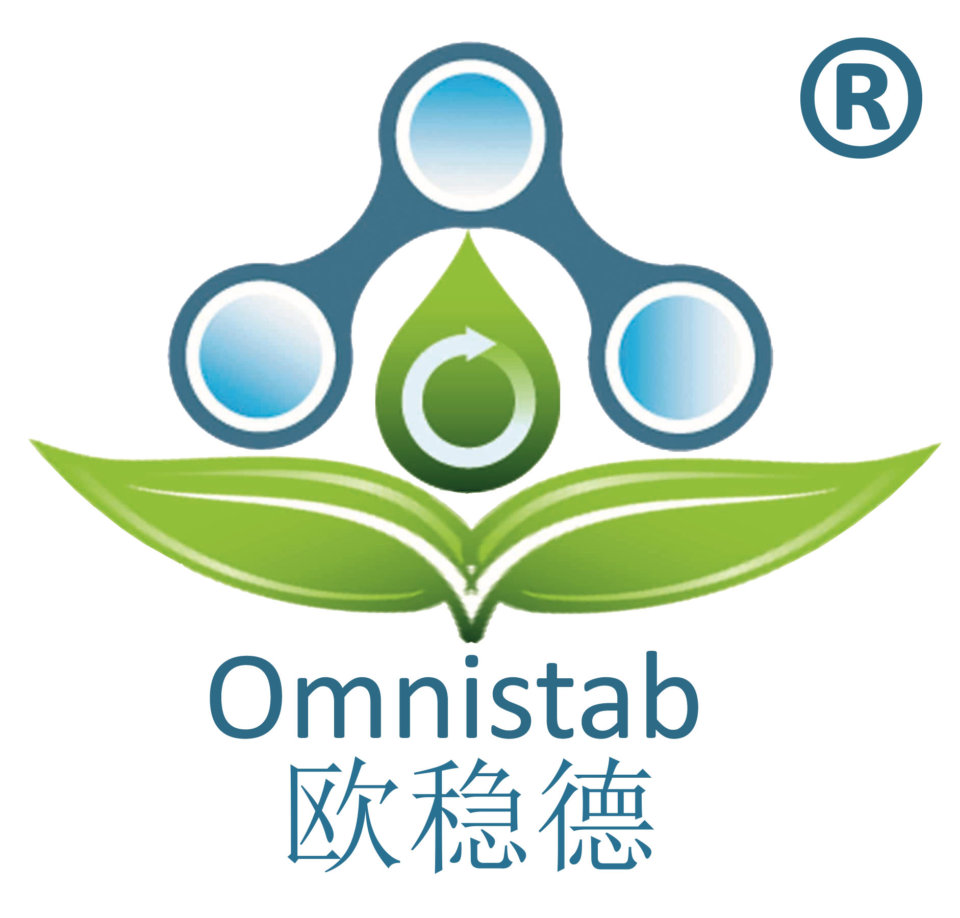 二[3-(1,1-二甲基乙基)-4-羟基-5-甲基苯丙酸]三聚乙二醇