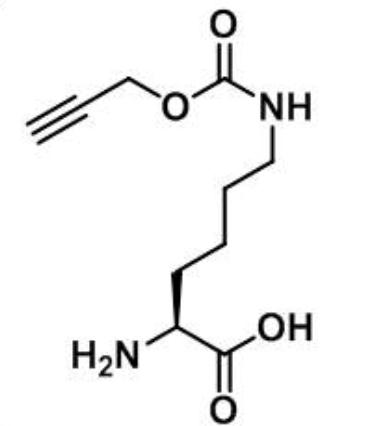 N-propargyloxycarbonyl-L-lysine