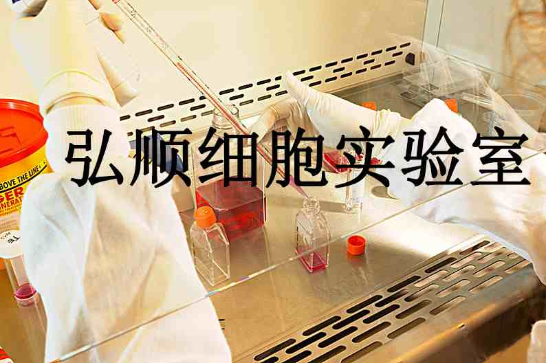 QGY-7701 Cells|人肝癌贴壁细胞