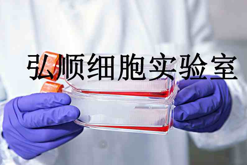 SK-N-DZ Cells|人成神经骨髓瘤贴壁细胞