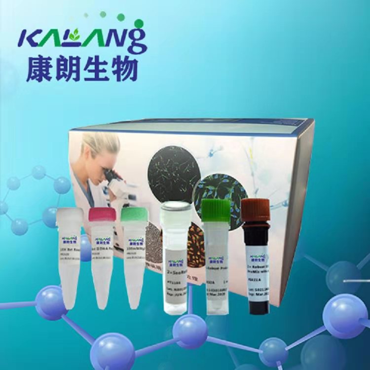 丝状支原体簇PCR试剂盒