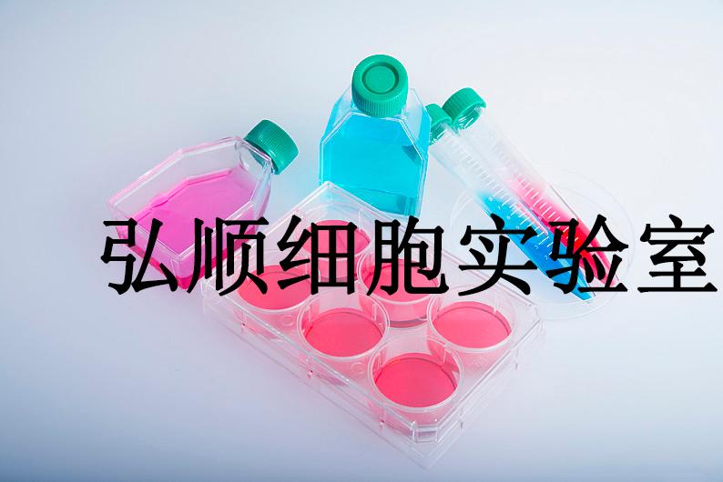 MFE-296 Cells|子宫内膜癌贴壁细胞