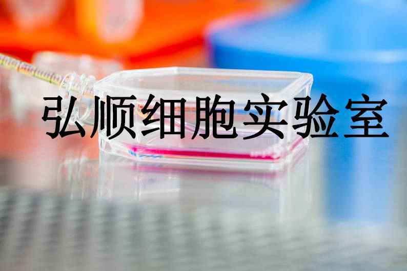 ACHN Cells|人肾细胞腺癌贴壁细胞