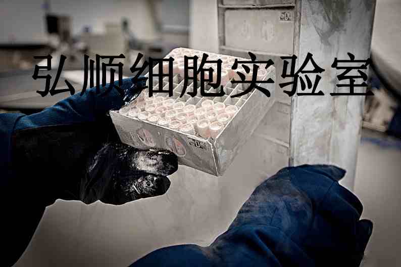 NCI-H2073 Cells|人非小细胞肺癌贴壁细胞