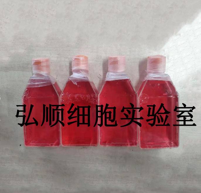 OV-90 Cells|人卵巢癌贴壁细胞