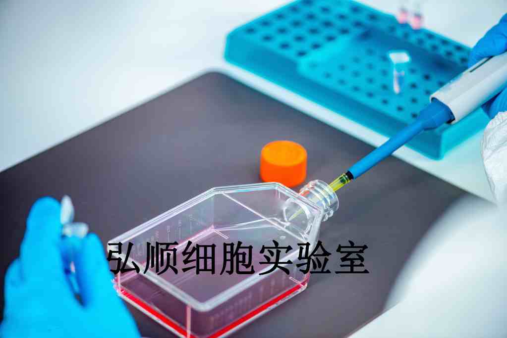 KATO III Cells|人胃癌贴壁细胞