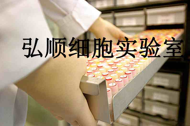 AAV-293 Cells|腺病毒转化的人胚肾贴壁细胞