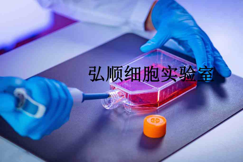 BpRc1 Cells|小鼠肝癌贴壁细胞